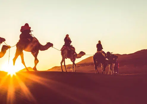 Marokko Erlebnisreisen bei Morocco Adventures, Kameltrek durch die Sahara